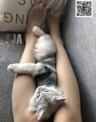广濑百合在线观看