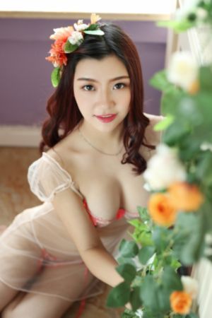 番茄影视大全电视剧免费观看