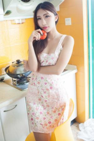 女神异闻录1免费观看