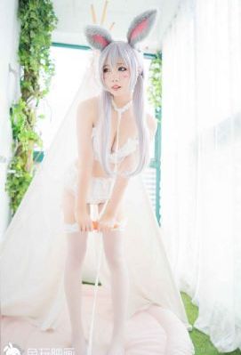 电影 《本能》
