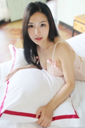 细狗网页端登录入口