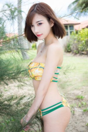 《复仇》
