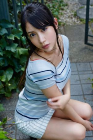 卧底秃鹰