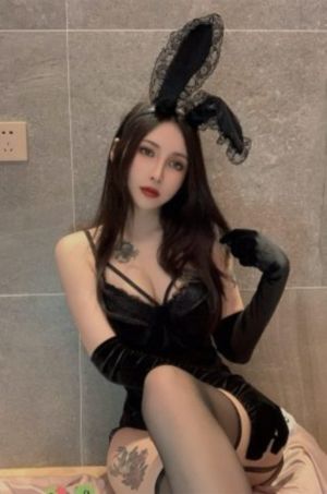gav不用播放器