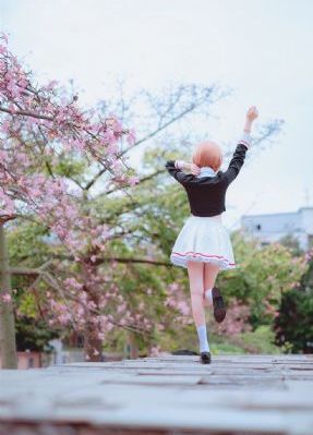 电视剧《安家》免费播放